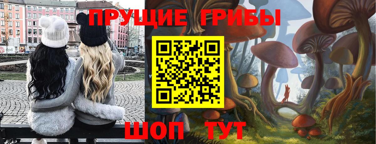 Ялта  Псилоцибиновые грибы ЛСД  Вход с VPN  Галлюциногенные грибы Cubensis 